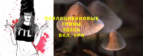стаф Горно-Алтайск