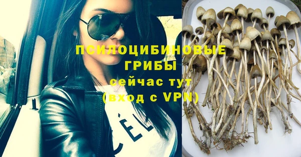 каннабис Горняк