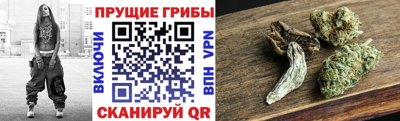Псилоцибиновые грибы GOLDEN TEACHER  кракен маркетплейс  Новочебоксарск  как найти закладки 