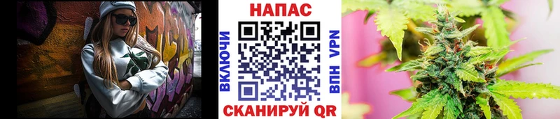 Шишки марихуана OG Kush  магазин продажи наркотиков  Новочебоксарск 